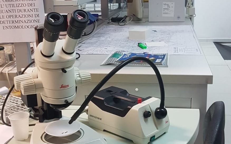 Cagliari, assunzione a tempo indeterminato alla Città Metropolitana: ecco come proporsi