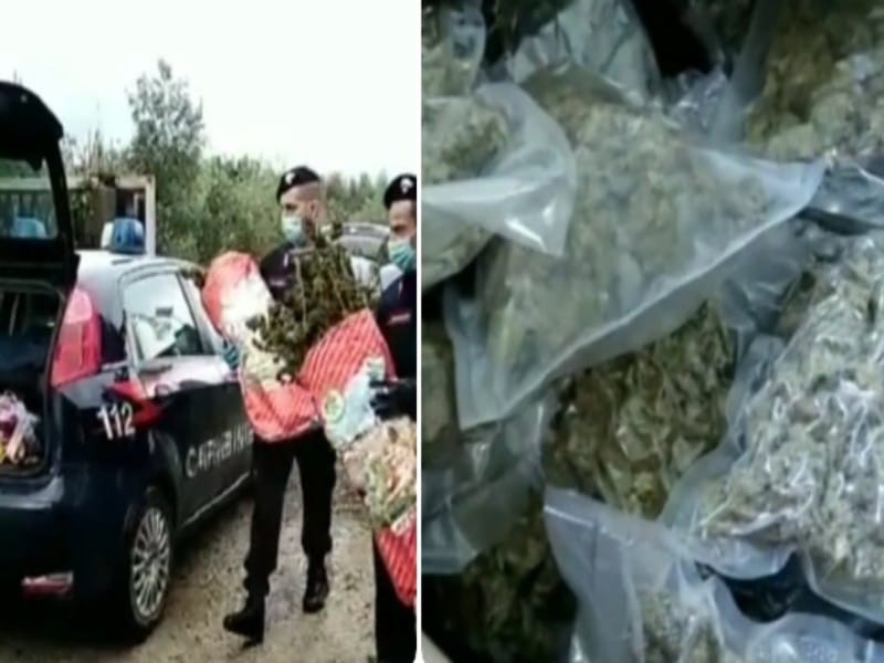 Sinnai, scovata una piantagione di marijuana da 110 mila euro: arrestato un 50enne