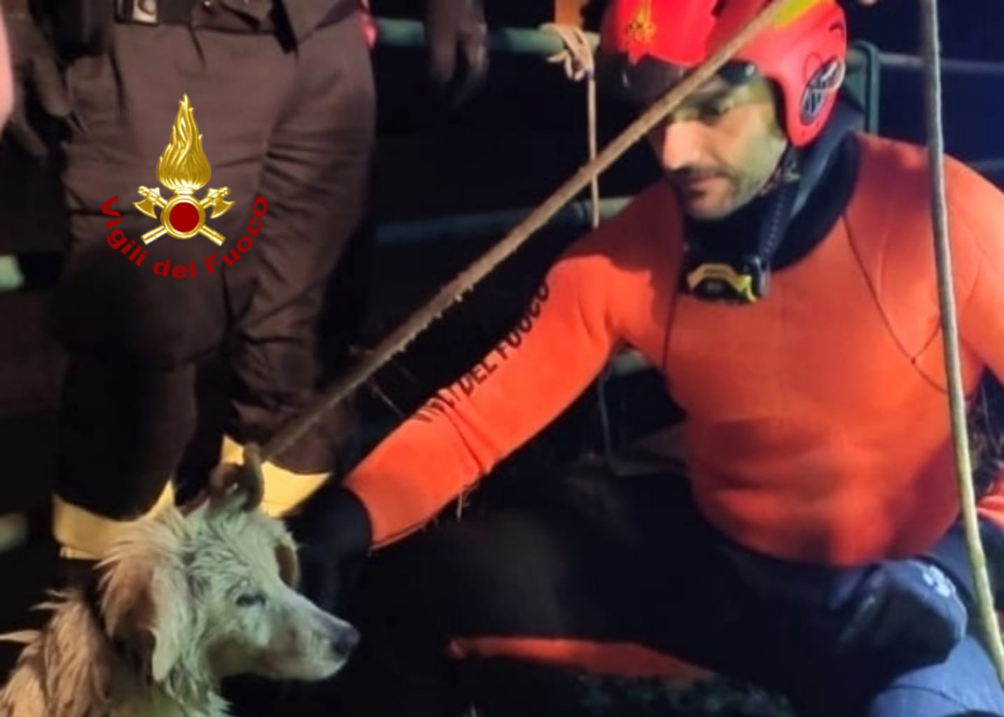 Cade in un canale, la padrona disperata chiama i vigili del fuoco: cane salvato a Villasor