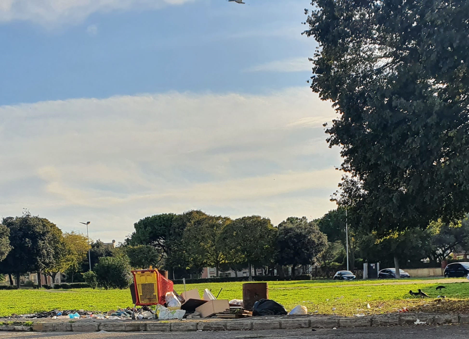 Caos discariche in strada a Cagliari, cumuli di spazzatura a San Michele e Mulinu Becciu