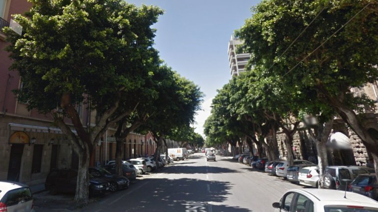 Cagliari, oltre tremila adesioni alla petizione popolare per la difesa dei Ficus di viale Trieste