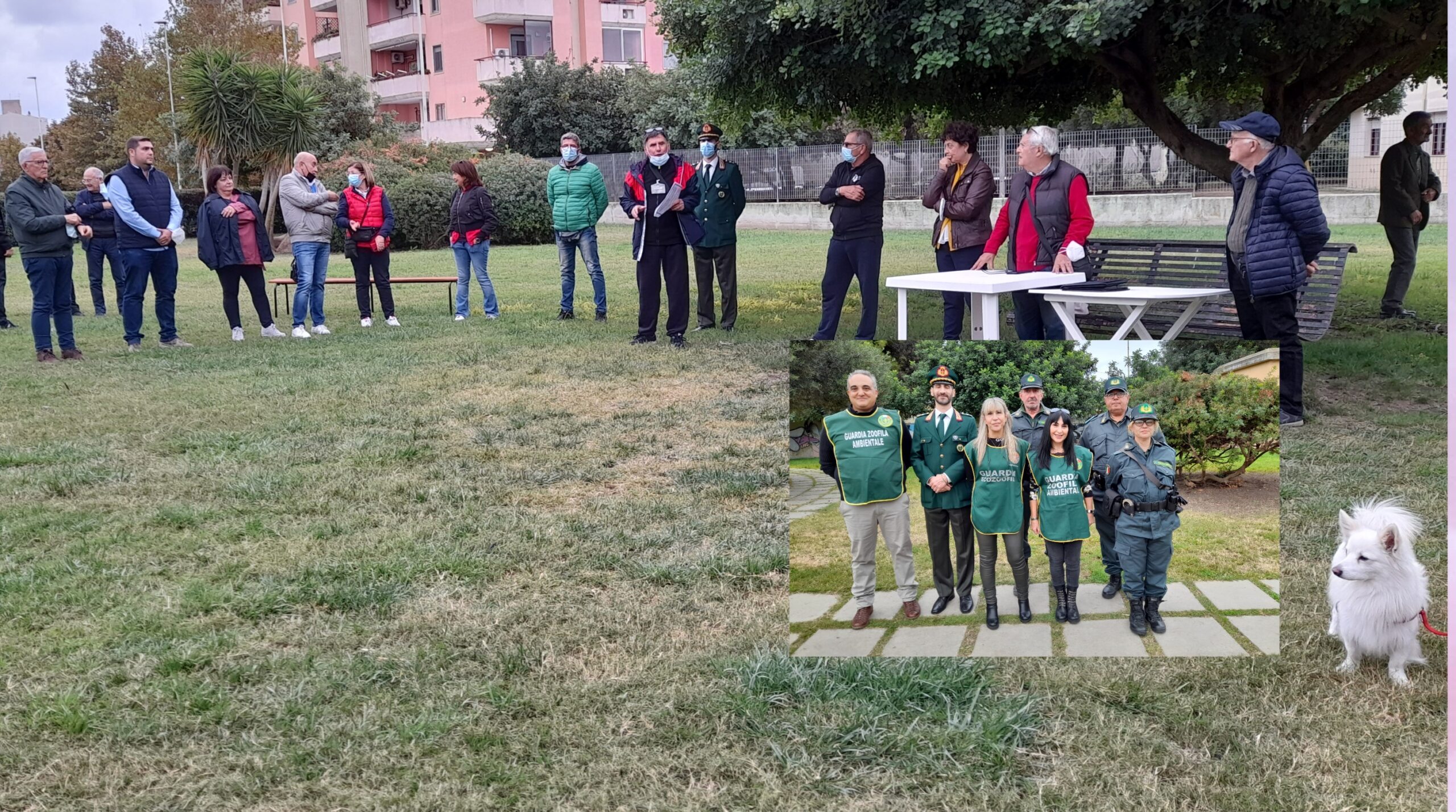 Ruolo delle guardie ecozoofile, manifestazione di interesse a Quartu