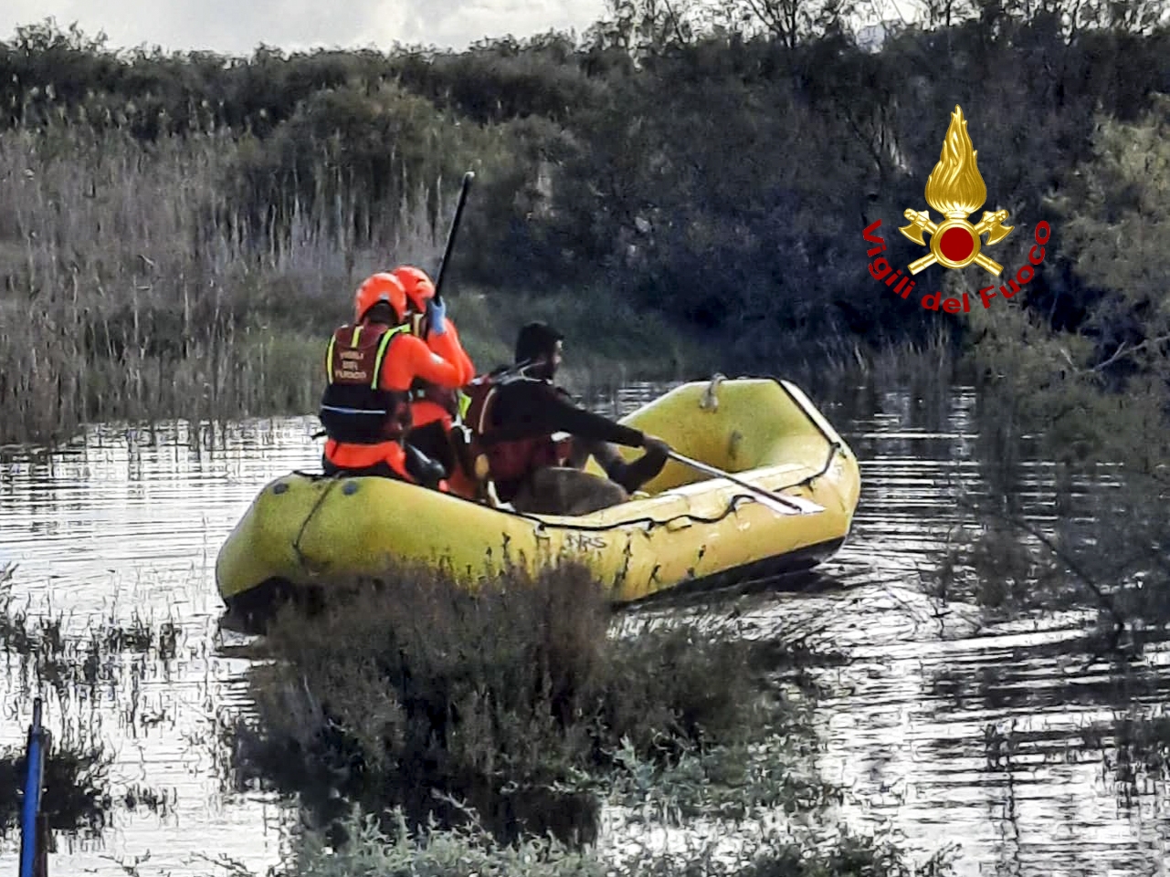 Intrappolate dalla piena del fiume, 20 pecore imbarcate e portate in salvo a Porto Corallo