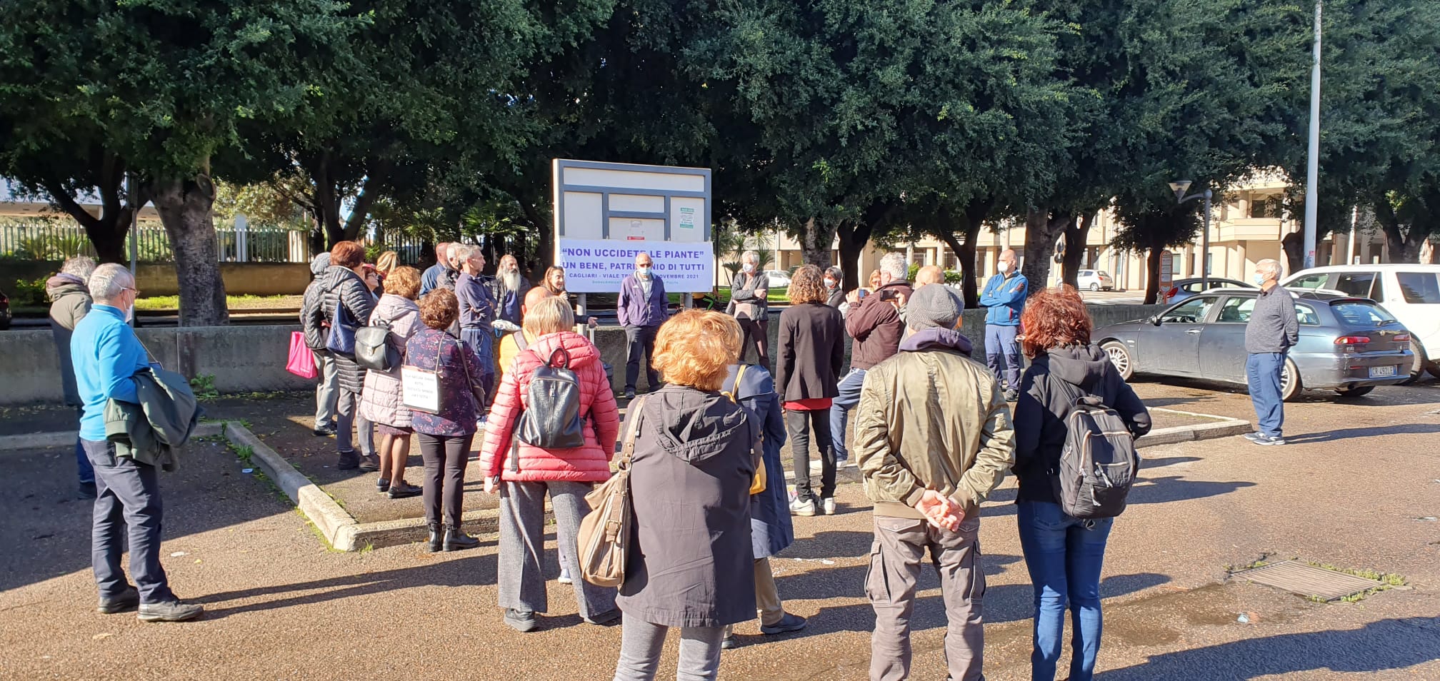 Cagliari, gli ecologisti abbracciano gli alberi per protesta: “Salviamo i ficus di viale Trieste”