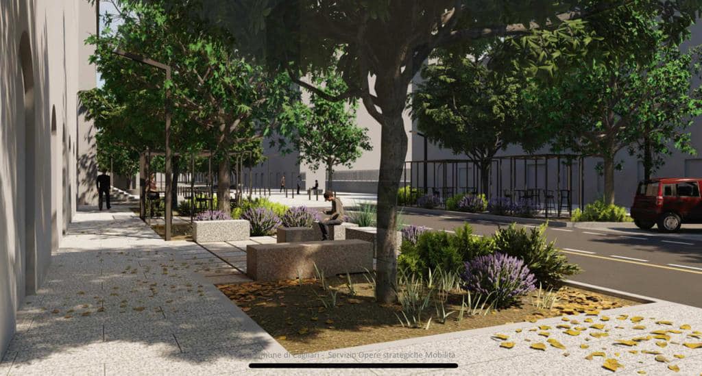 “I ficus di viale Trieste? Non saranno tagliati. Verranno spostati nei parchi di Cagliari”