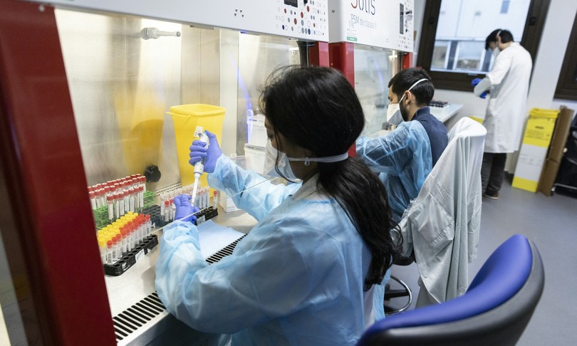 Covid, nuova variante del virus isolata a Marsiglia