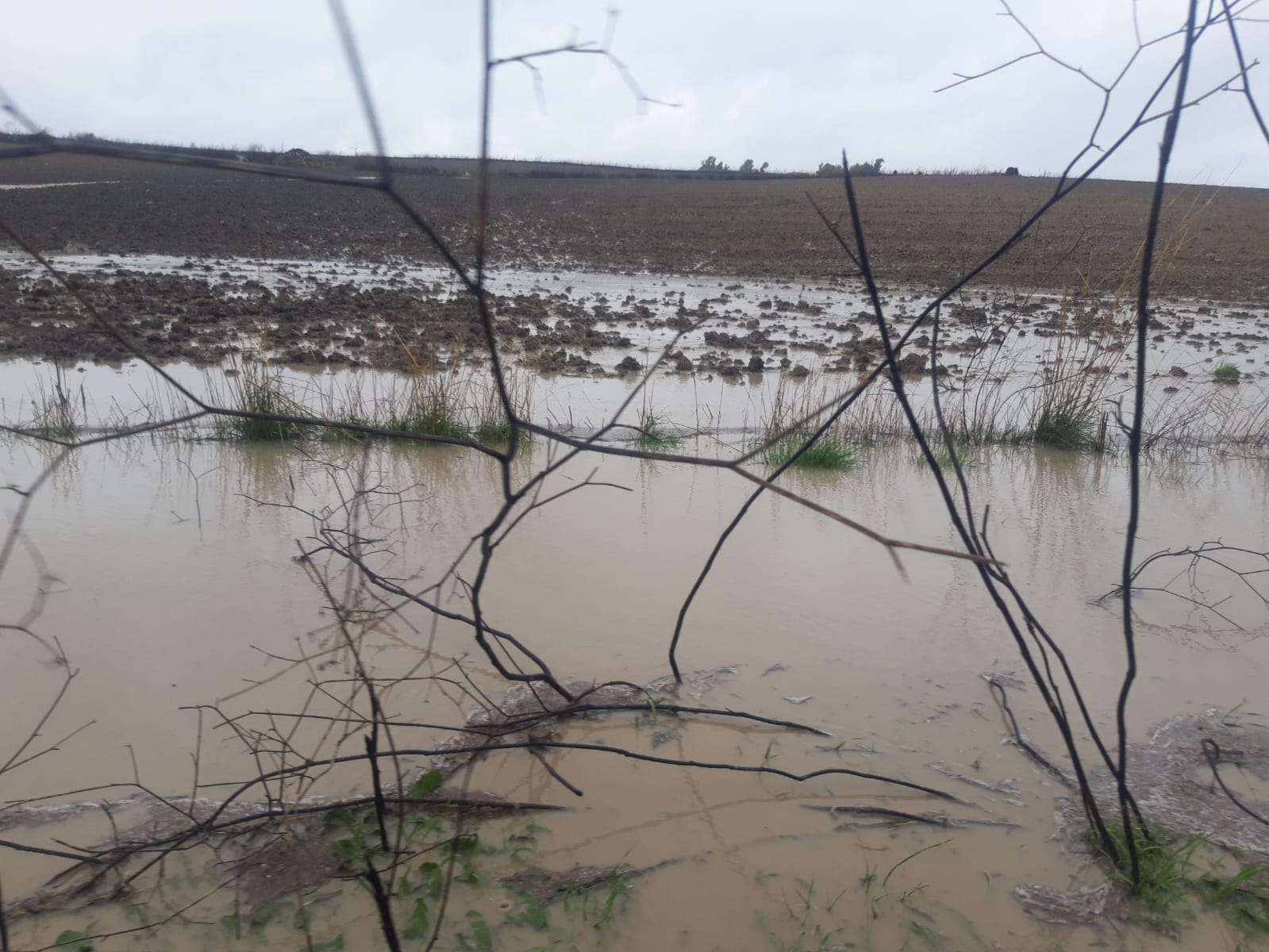 Nubifragio devasta campi e strade nel sud Sardegna: Mandas in ginocchio, bomba d’acqua a Baressa e Baradili