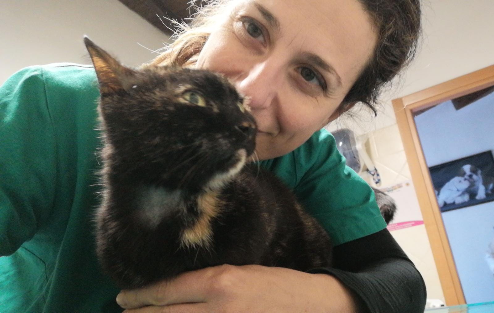 Radio Zampetta Sarda: la veterinaria Silvia Serra ci parla della tosse nel cane e nel gatto