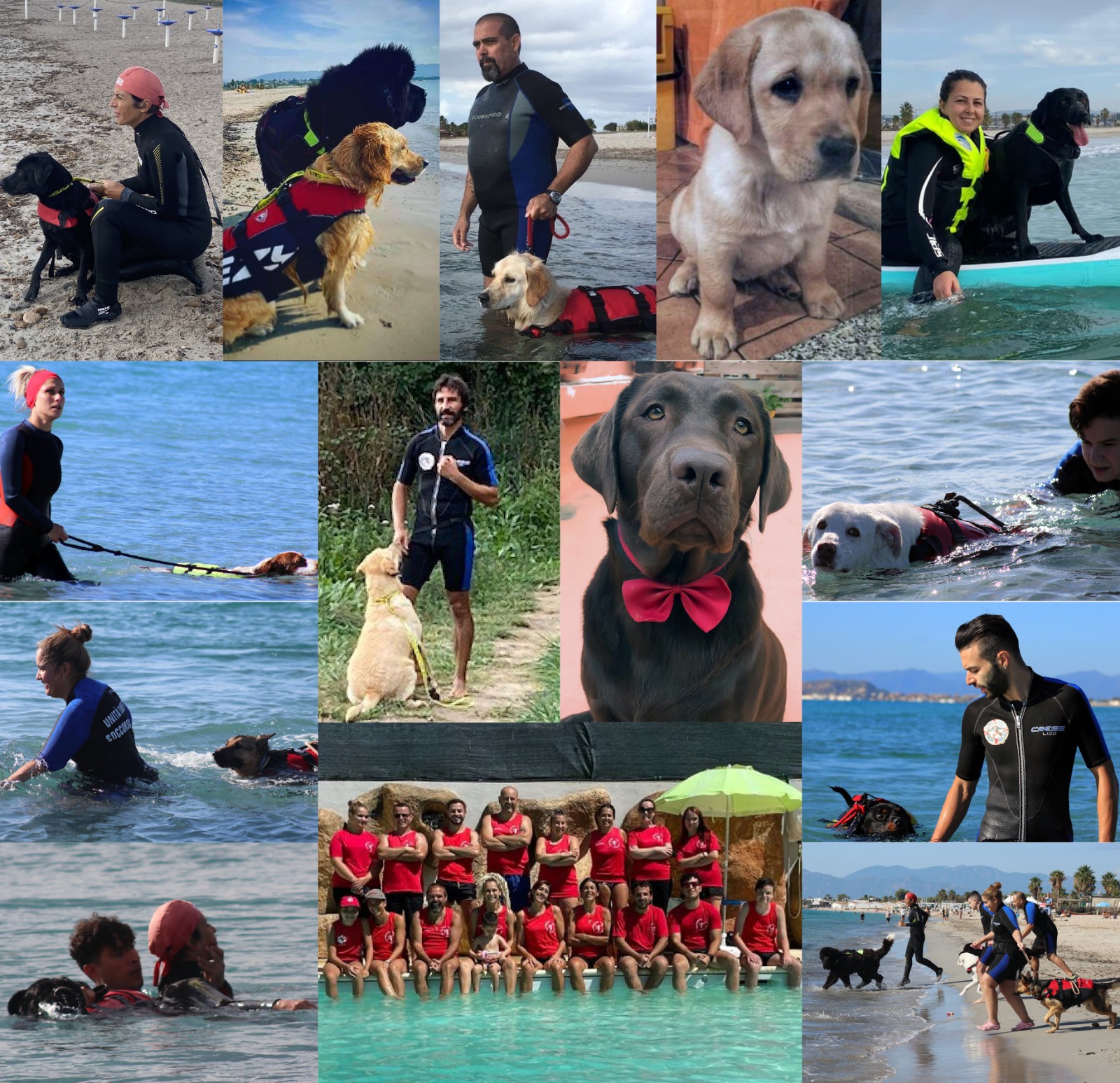 Radio Zampetta Sarda: i cani di salvataggio in mare vi aspettano oggi a Quartu