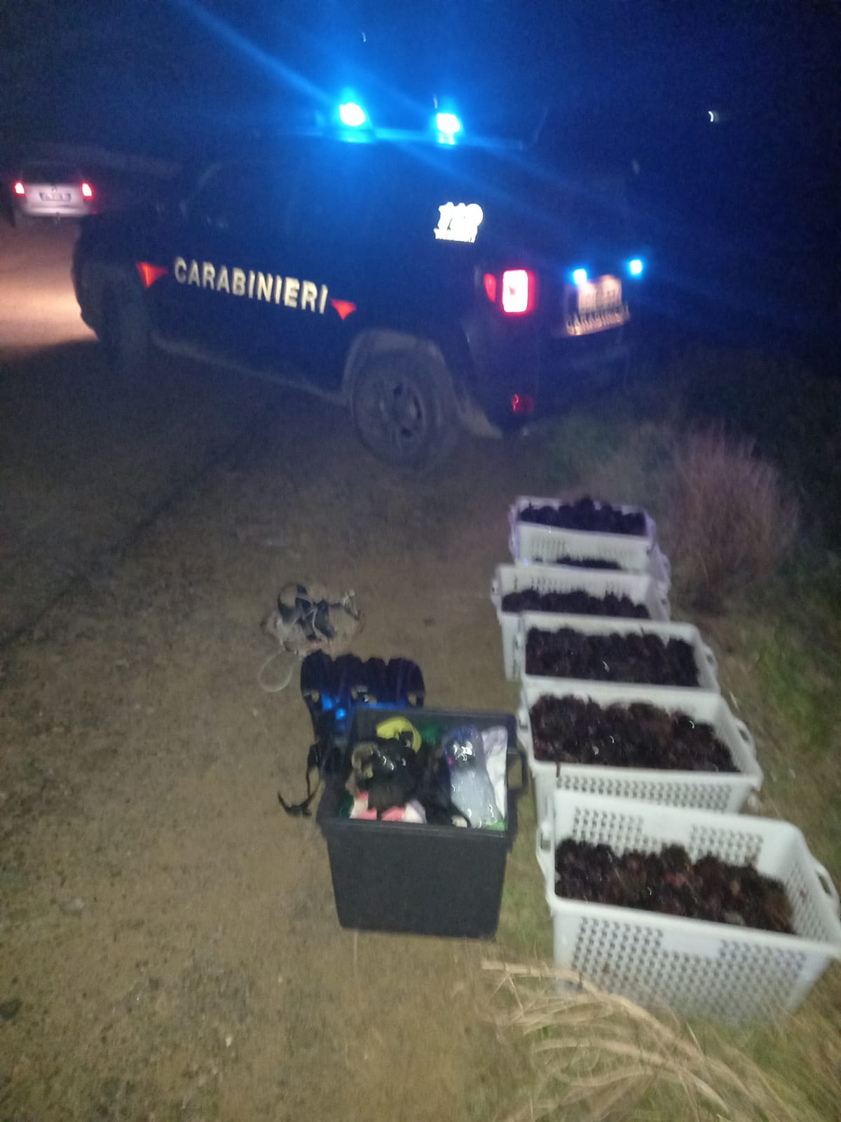 Altro che divieto, pescano a Pistis 1200 ricci di mare: due giovani denunciati dai carabinieri