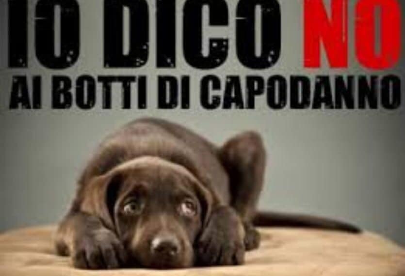 Selargius, stop a botti e petardi a Capodanno: “Cantate e ballate, ma senza danni a persone e animali”