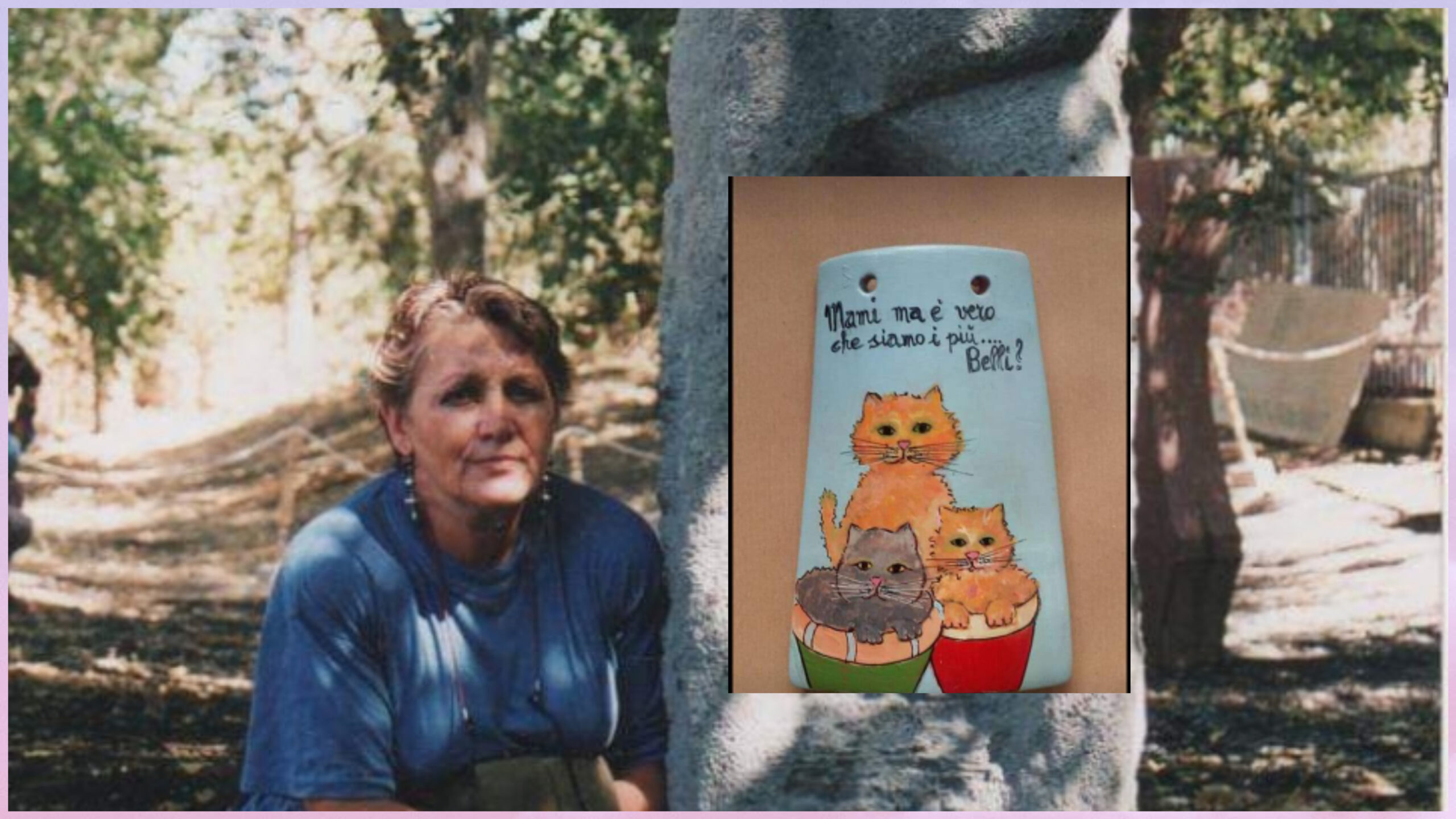 Appello a Radio Zampetta Sarda: “Adottate i gatti anziani, nessuno li vuole ma sono i più bisognosi”