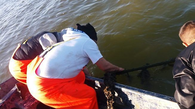 Cagliari, 160 pescatori alla fame: “Laguna invasa dalla spazzatura e divieto di pesca, sarà un Natale tragico”