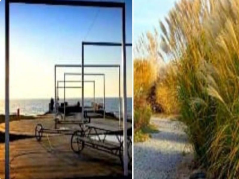 Cagliari, svolta verde a Sa Scafa: nuovo parco con spazi per la degustazione di cozze e arselle