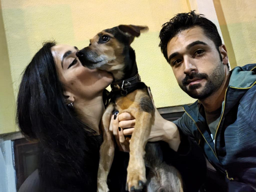 Quartu, choc a Pitz’e Serra: “Il nostro cane avvelenato, speriamo di trovare il delinquente con le telecamere”