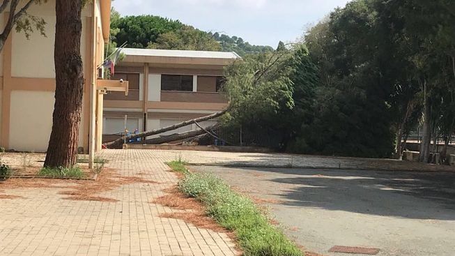 Focolaio Covid a scuola, mamme in rivolta a Is Mirrionis: “Tamponi troppo cari, non mandiamo più i bimbi in classe”