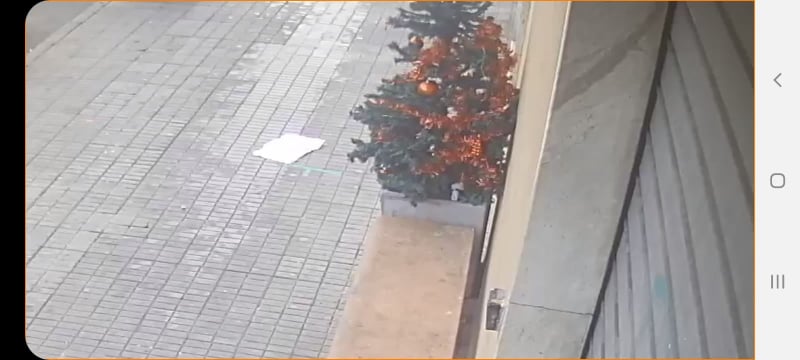 Fonsarda, rubato l’albero di Natale intero realizzato dai bambini: “Un ladro senza cuore”