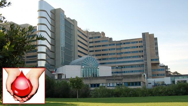 “C’è bisogno di sangue”: diminuiscono le donazioni, l’appello del Brotzu