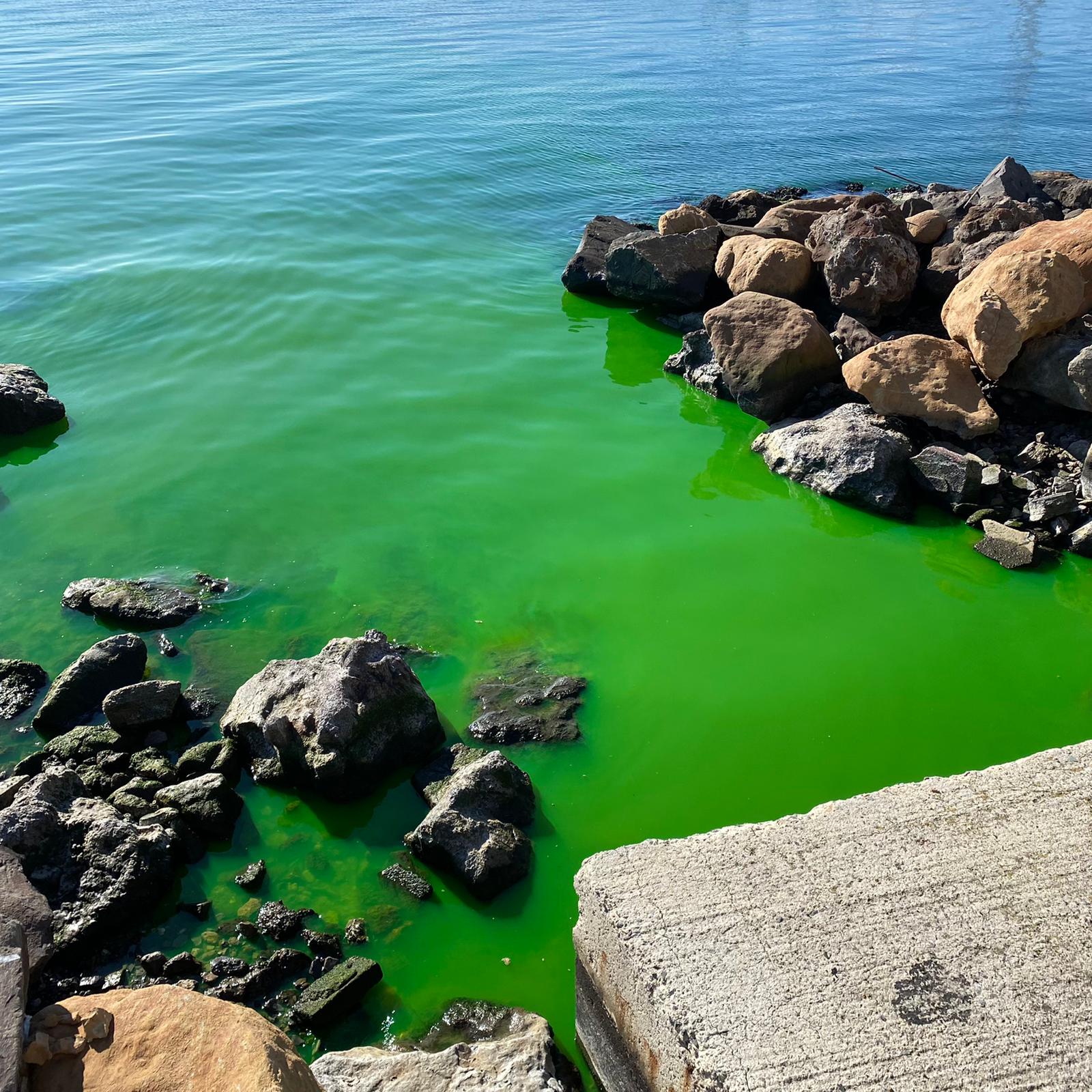 Cagliari, liquido verde fluorescente scaricato in mare: allarme a Su Siccu