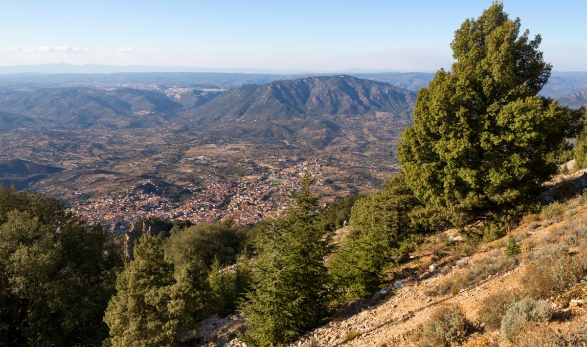 Omicidio a Oliena, allevatore di 59 anni ucciso a fucilate