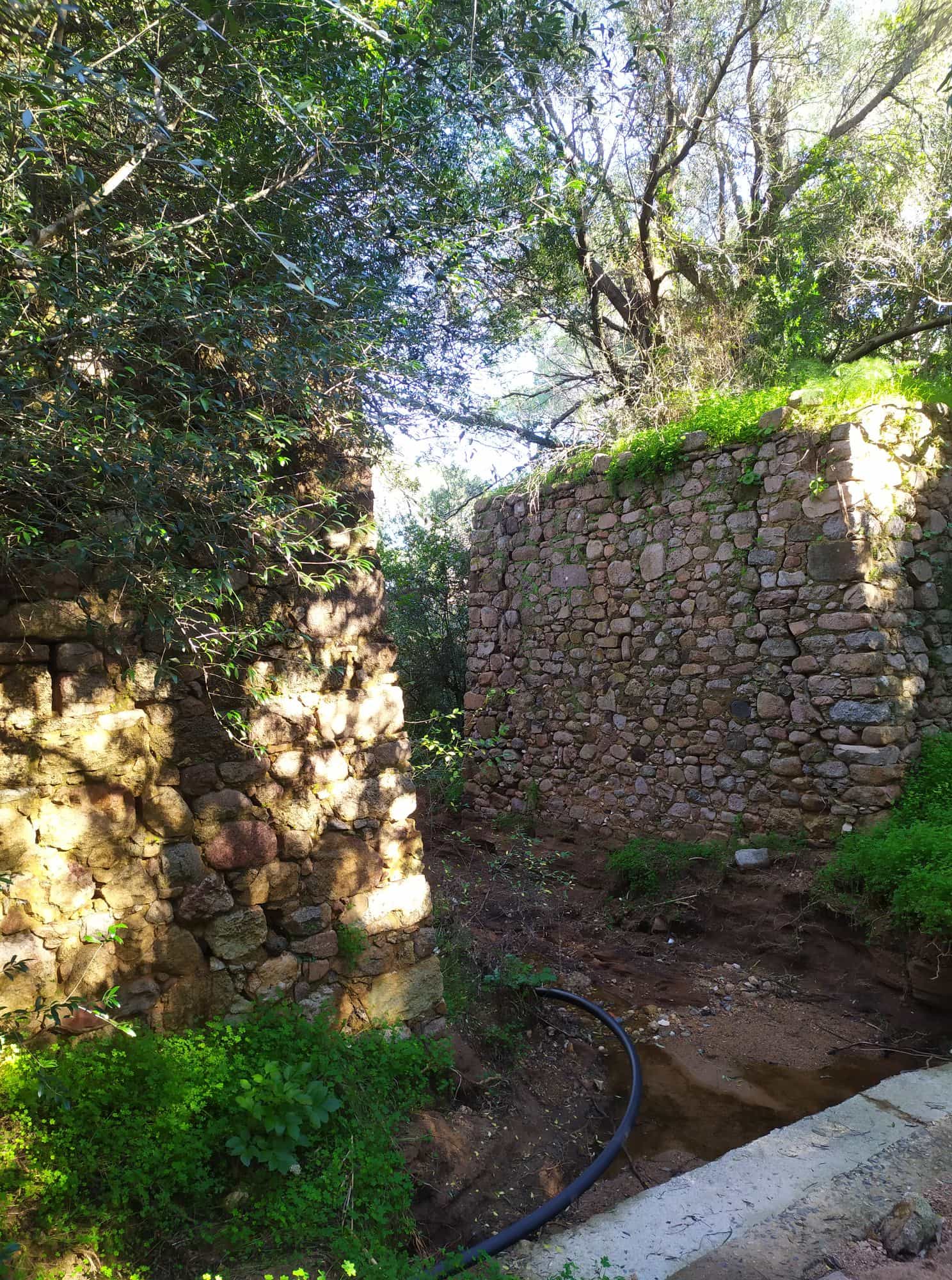 “I ruderi del ponte ferroviario di Poggio dei Pini vanno salvaguardati”