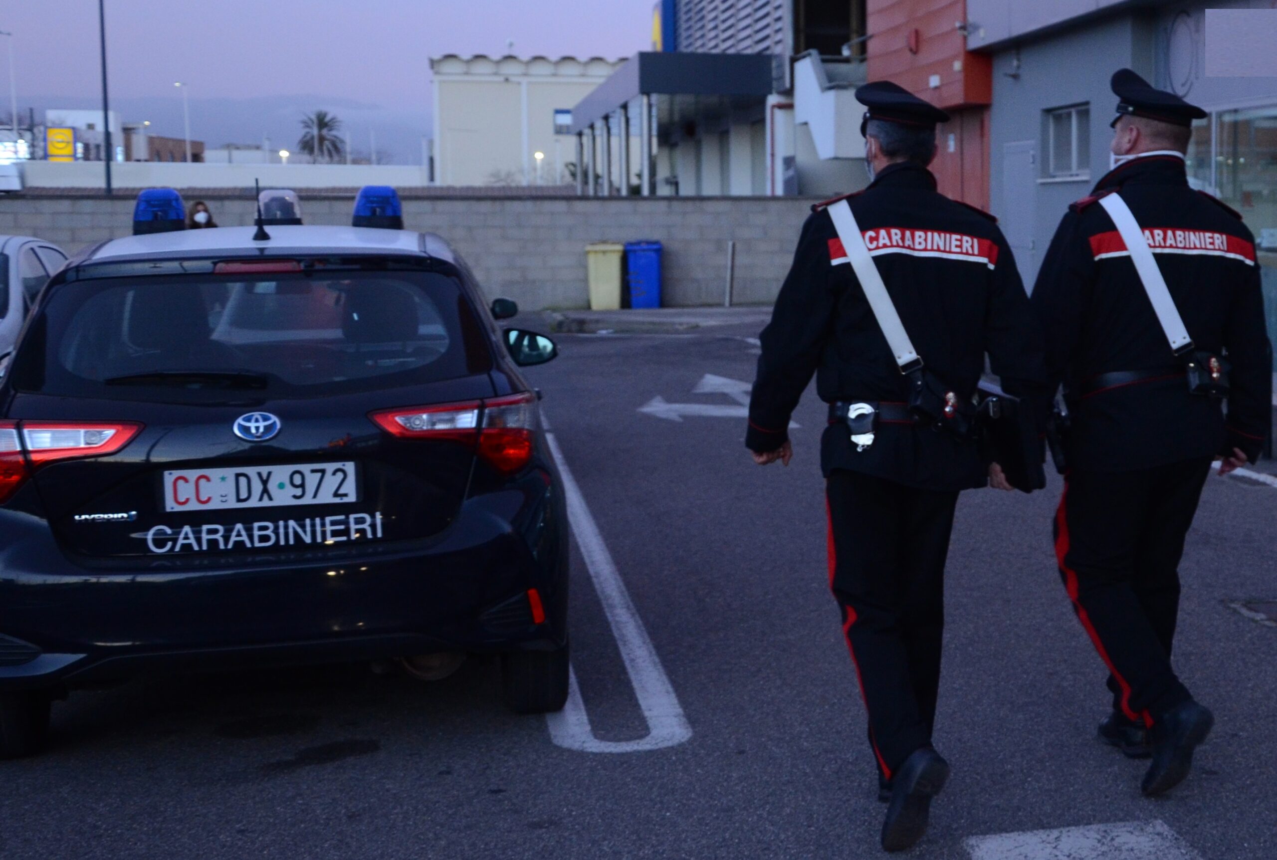 Danneggia una colonnina del distributore, allevatore denunciato a San Vito