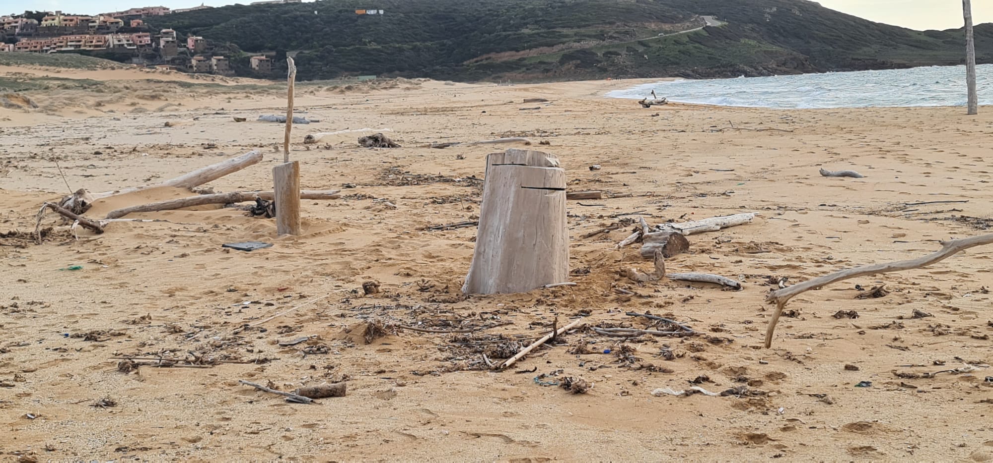 Torre dei Corsari, montone sacrificato in nome del demonio? Il sospetto delle messe nere in spiaggia