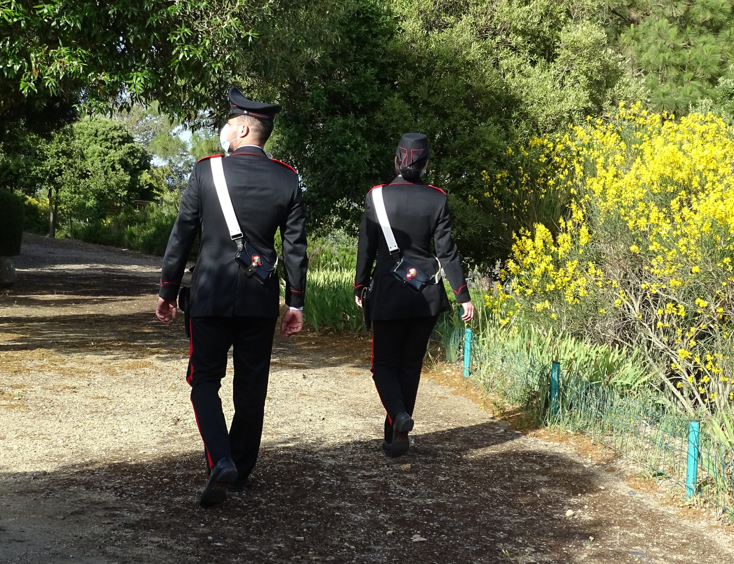 Sestu, va a cercare asparagi in campagna e trova 4 fucili rubati