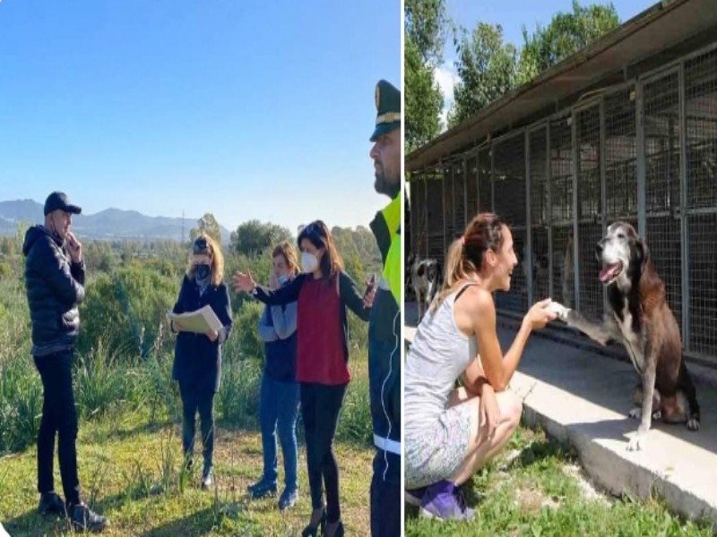 Pula, sì al primo canile e cimitero per animali: “Cani e gatti curati in un’oasi verde”