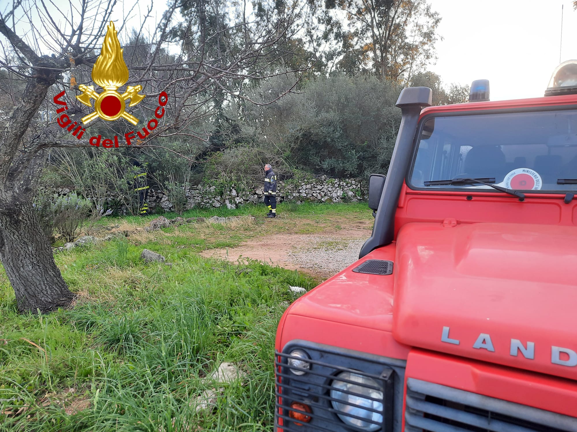 Scompare a San Pantaleo, lo ritrovano i pompieri infreddolito e spaventato