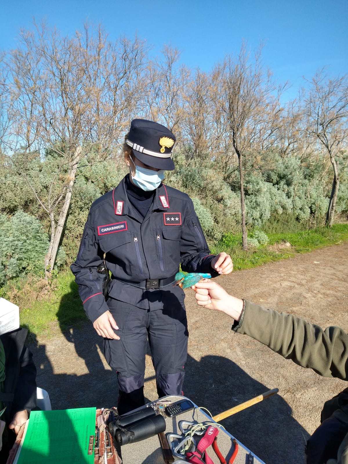 Cardellini, merli e fringuelli in gabbia: denunciato un bracconiere a Quartucciu