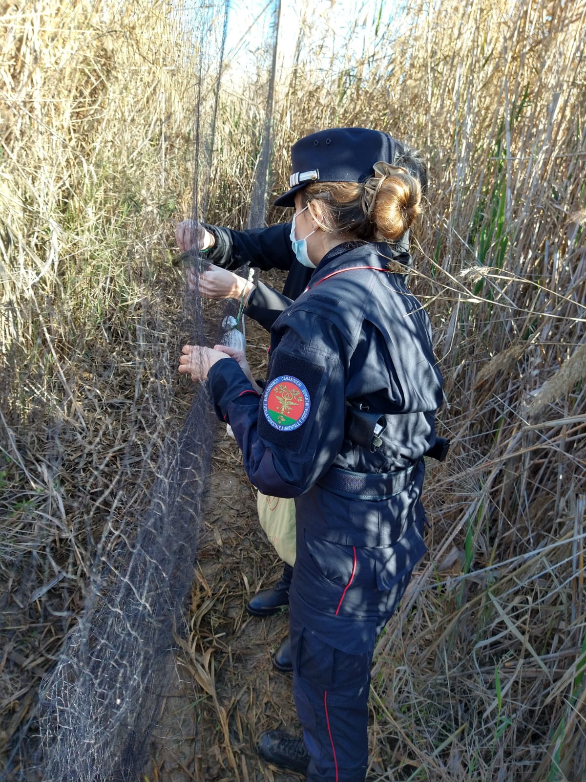 Bracconieri in azione a Quartu e Maracalagonis, sequestrate maxi reti per catturare gli uccelli