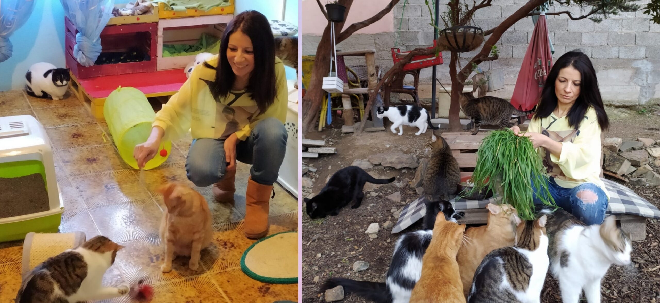 L’appello di Sonia Casula a Radio Zampetta: “Una casa editrice per il mio libro sui micetti salvati”