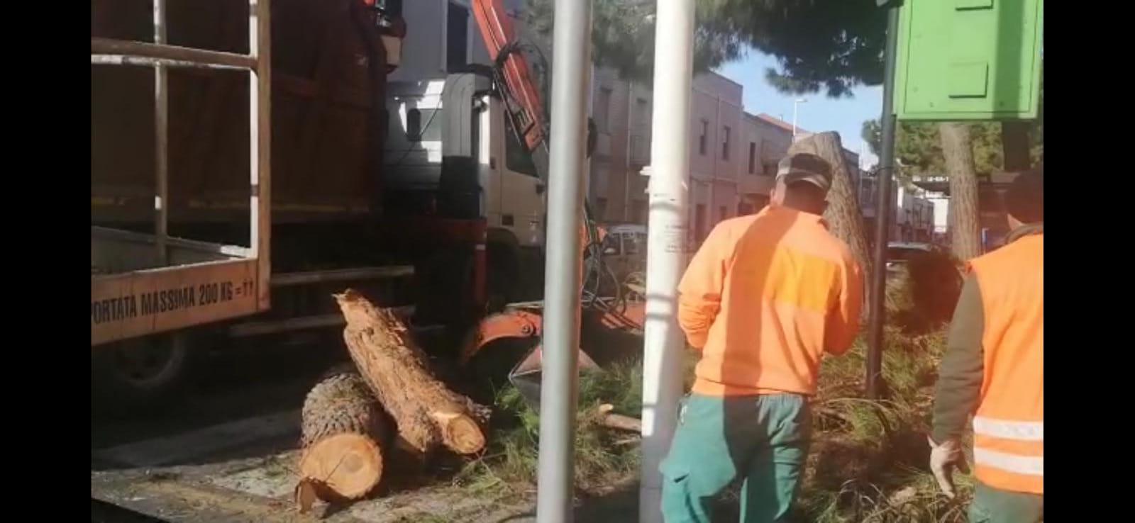 Sos degli ambientalisti a Cagliari: “Motoseghe in azione a Pirri, tagliati i pini di via Italia”