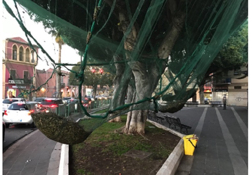 Transenne, vandali e cabine telefoniche usate come bagni pubblici: “Pirri è abbandonata dal Comune”