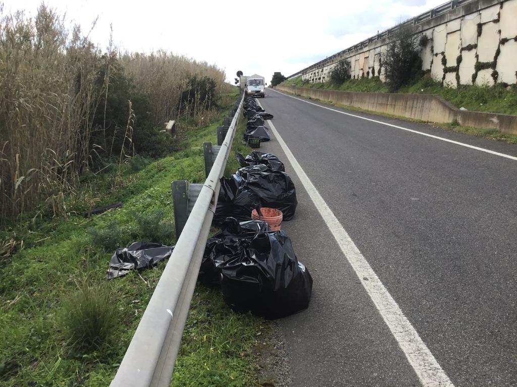 Vergogna rifiuti: 13 tonnellate di sacchi abbandonati raccolti sulla Carlo Felice