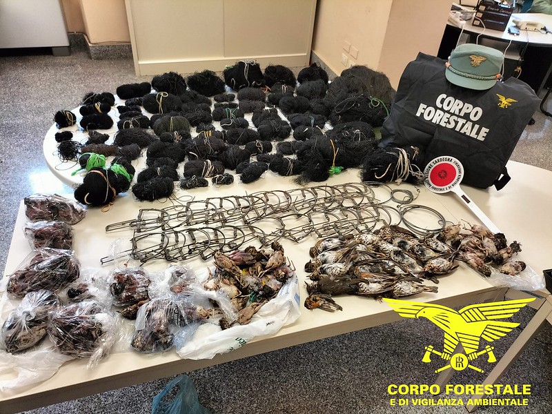 Gutturu Mannu, scoperte trappole per catturare cervi tordi e cinghiali: denunciati due bracconieri