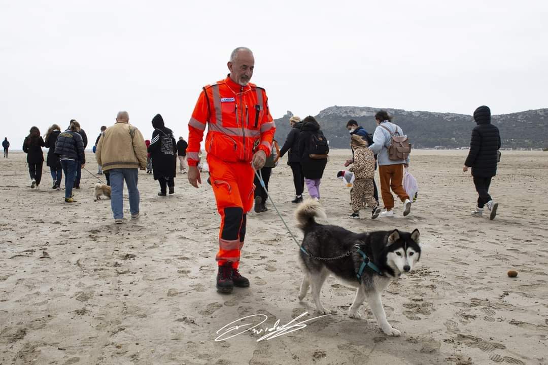 Medico salva il cane di una profuga ucraina: “Non volevano farlo imbarcare per Cagliari, assurdo”
