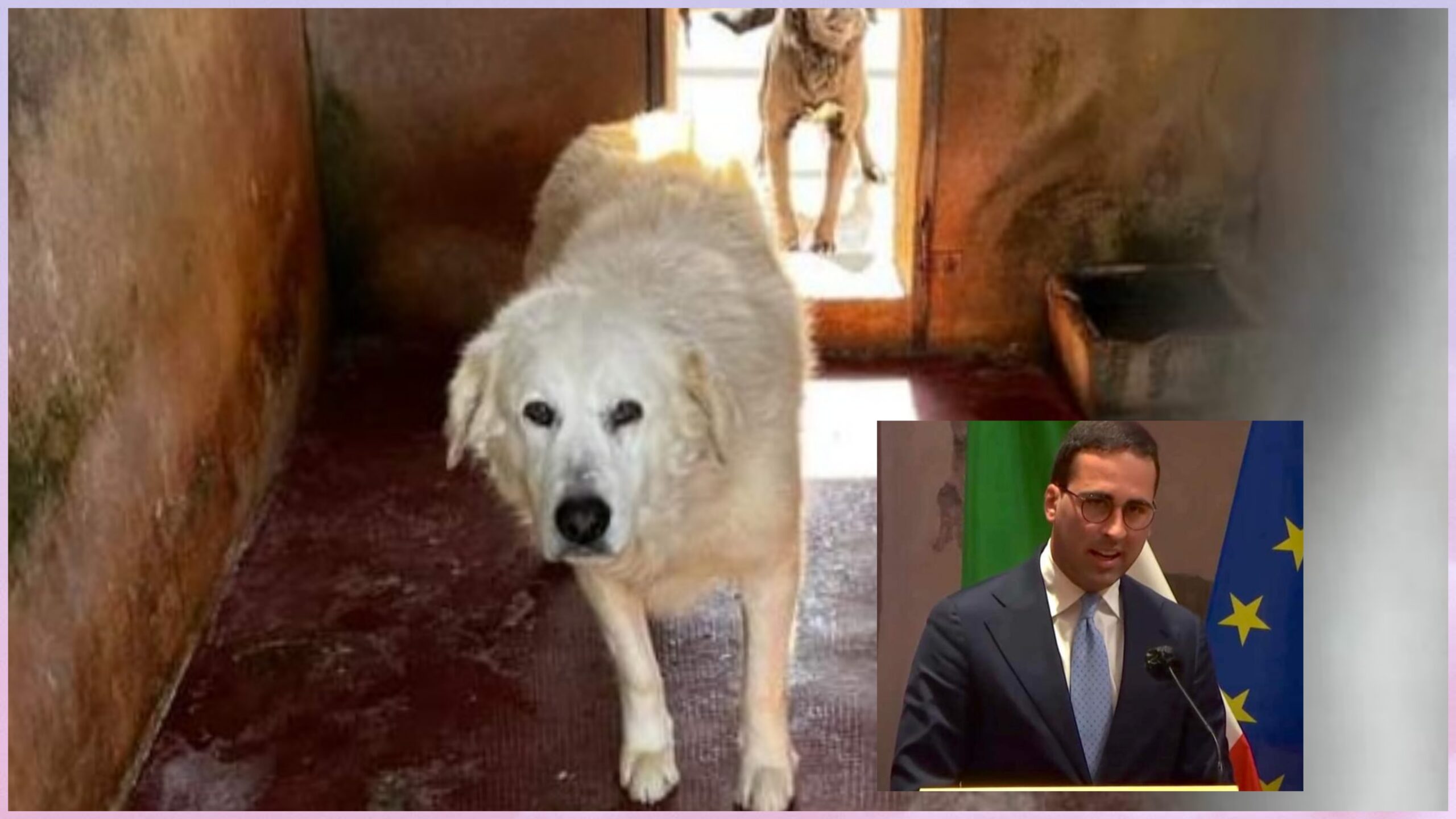 Filippo Maturi, blitz a sorpresa nel canile di Arborea: “Cani senza riparo e sporchi, situazione assurda”