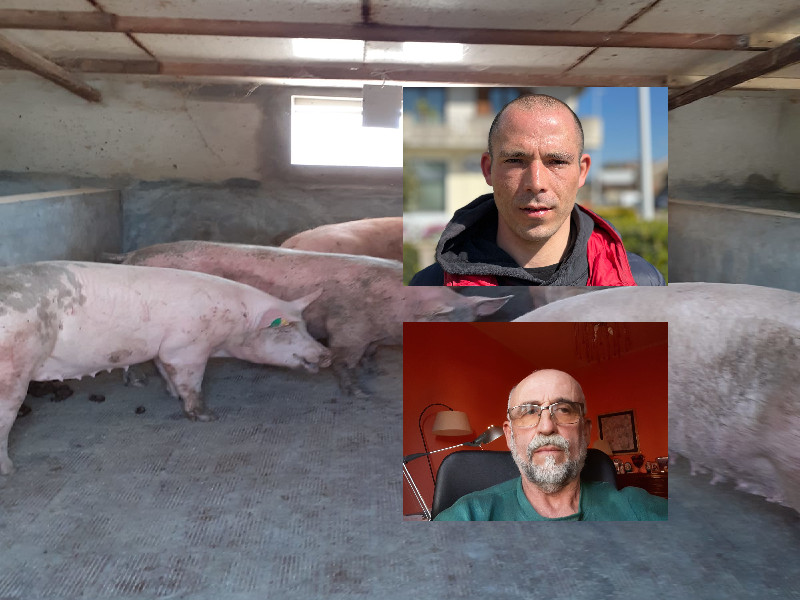 Cagliari, la guerra in Ucraina manda ko gli allevatori: “Scorte di mangime finite, restano debiti e lacrime”