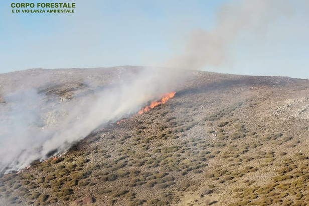 Incendi anche in inverno in Sardegna, elicotteri in azione: fiamme a Riola e a Fonni