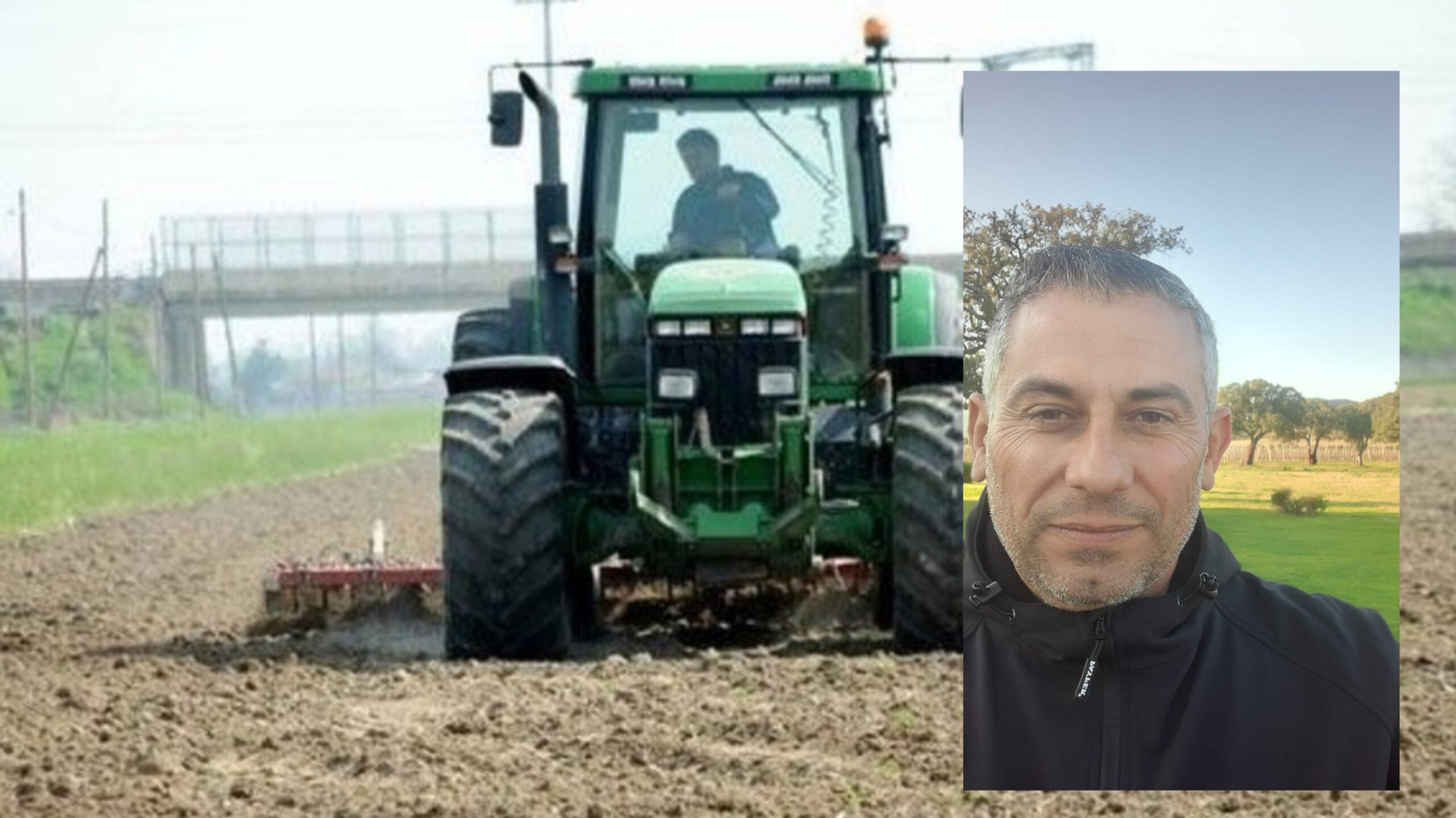 Prezzi di produzione in ginocchio ed export dei carciofi a rischio: agricoltori in ginocchio a Samassi