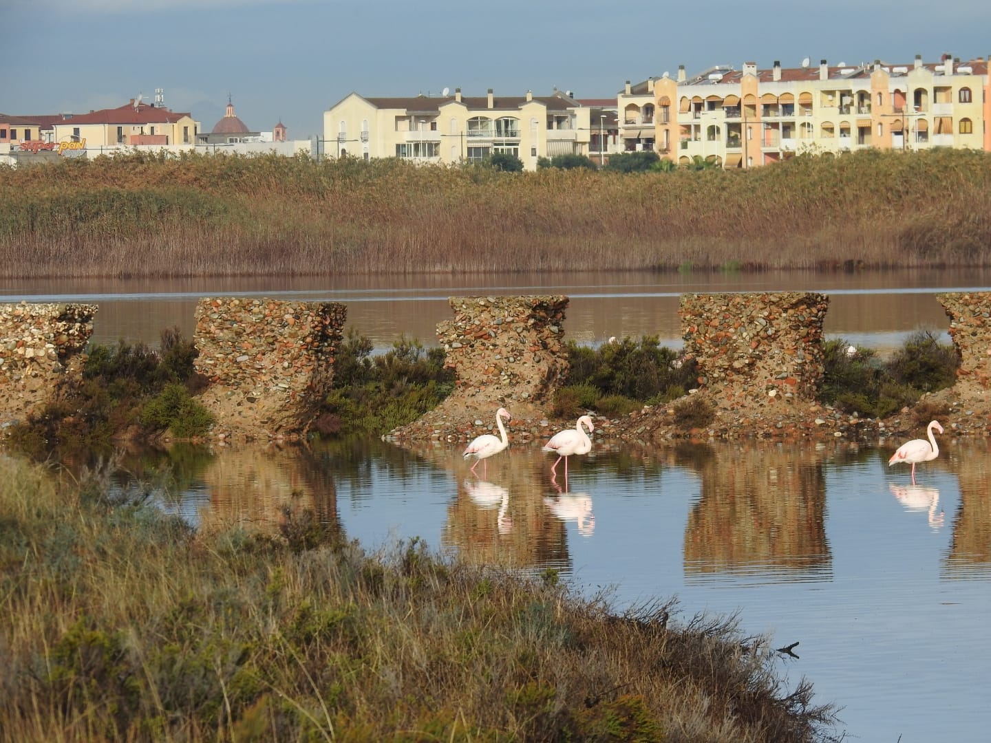 Quartu, l’idea: un parco tra via San Benedetto e via Fiume per entrare a Molentargius