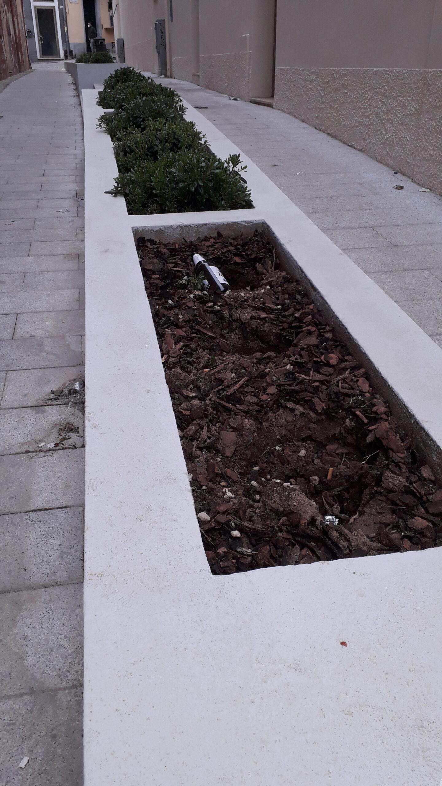 Cagliari, rubate le piante dalle fioriere di via Maddalena: “Ne mancano 10 su 24, delinquenti”