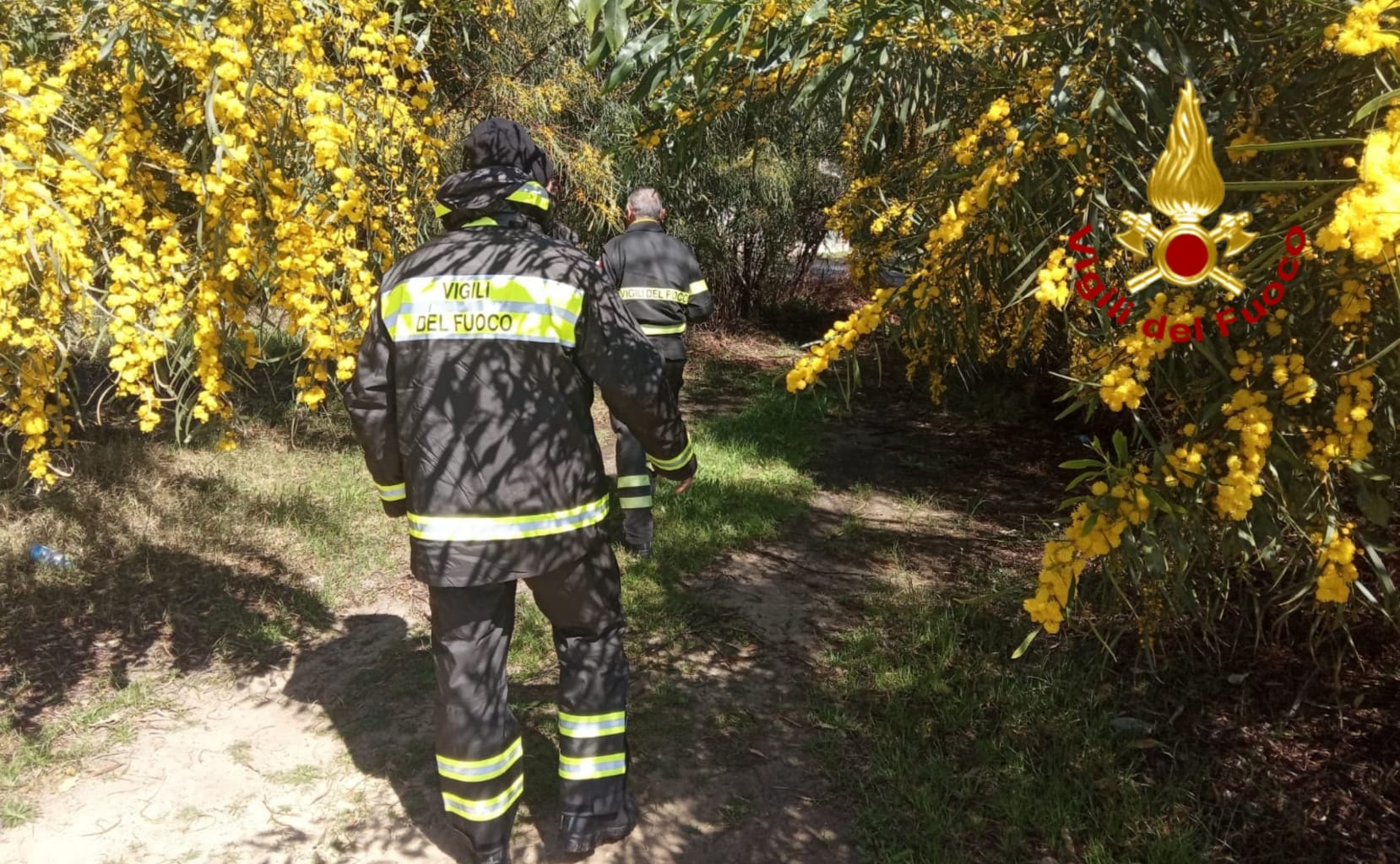 Preoccupazione per un 78enne di Castiadas: in corso le ricerche dell’uomo