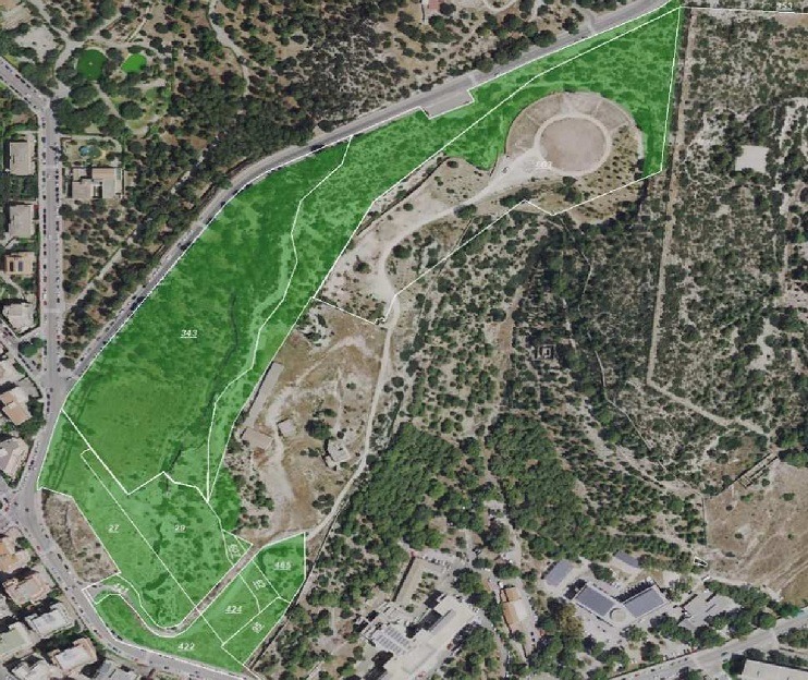 Cagliari, nuovo bosco con 6 mila alberi a Monte Urpinu: maxi polmone verde fino a Molentargius