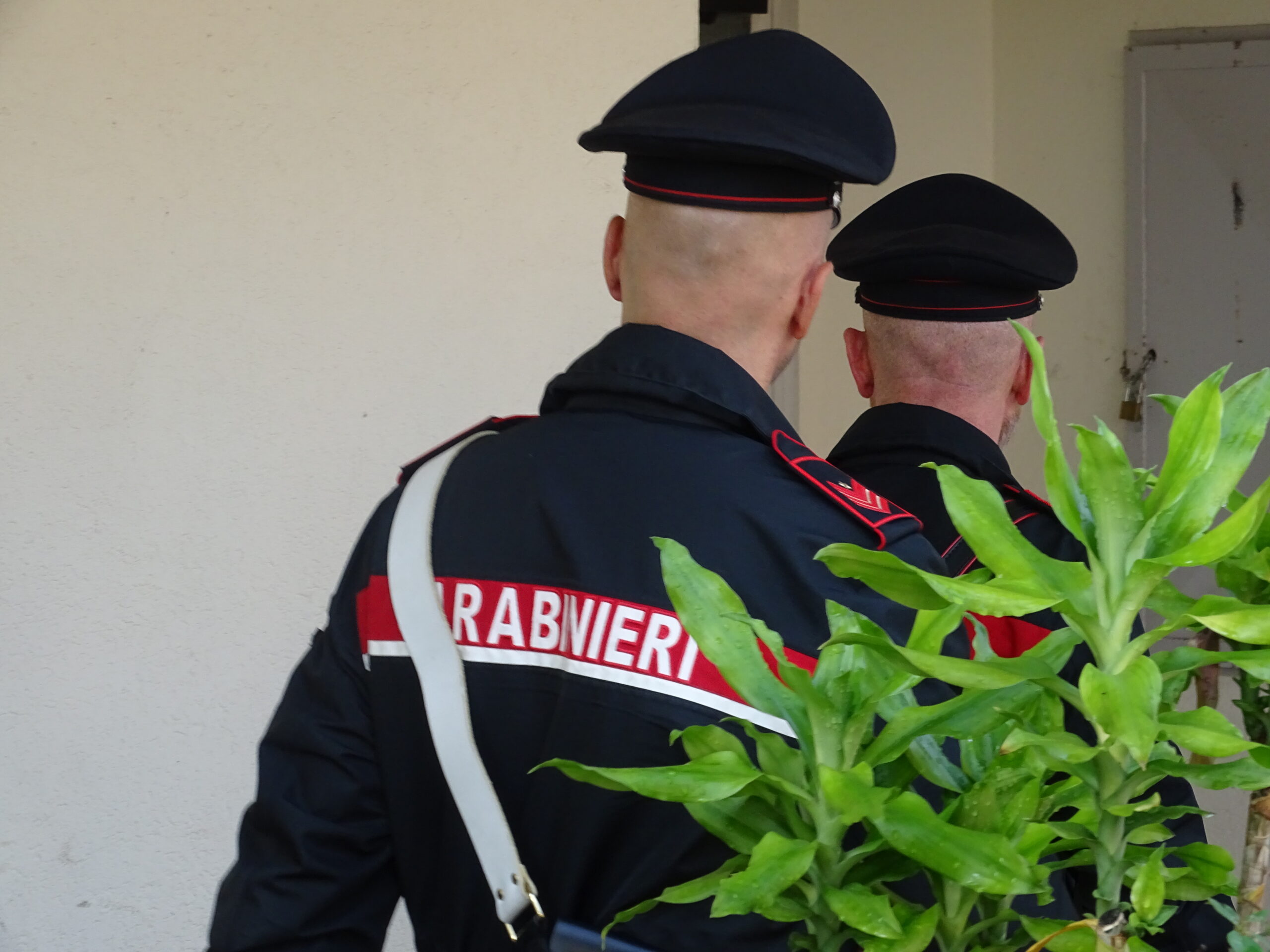 Silius, sorpreso con 33 kg di marijuana nell’ovile: allevatore in manette