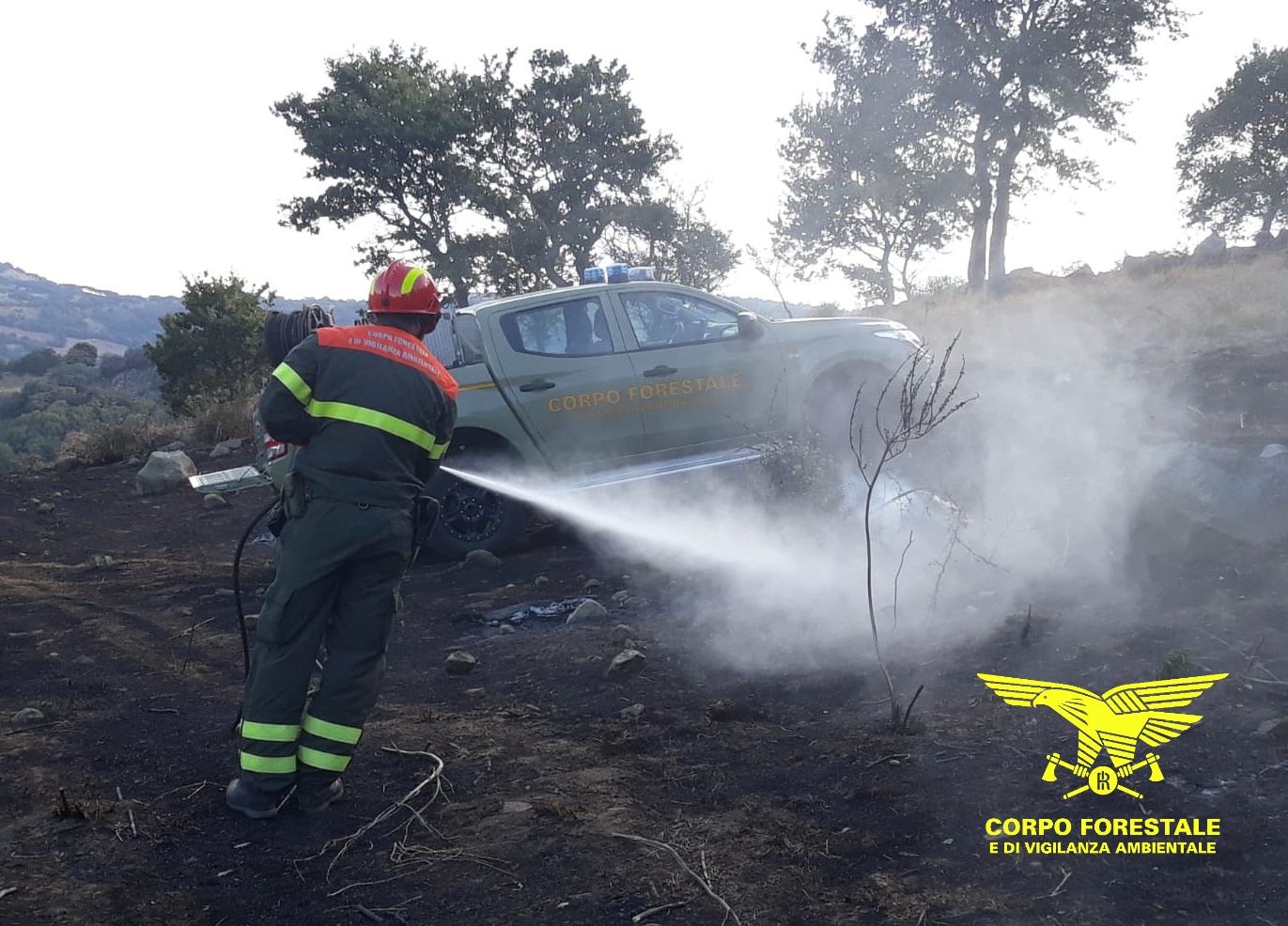 Incendi, 11 roghi in un giorno in Sardegna e aerei in volo per spegnerli