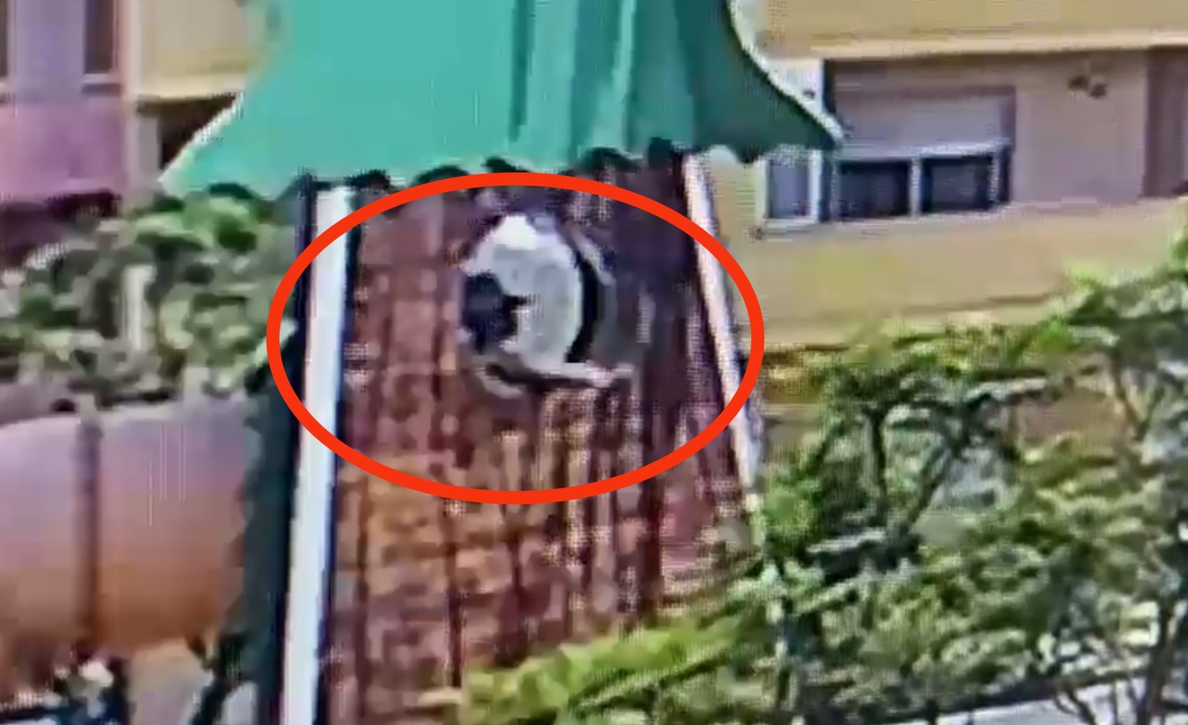 Monserrato, baby vandali rovinano il Parco Magico: “Saranno denunciati e i genitori pagheranno tutti i danni”