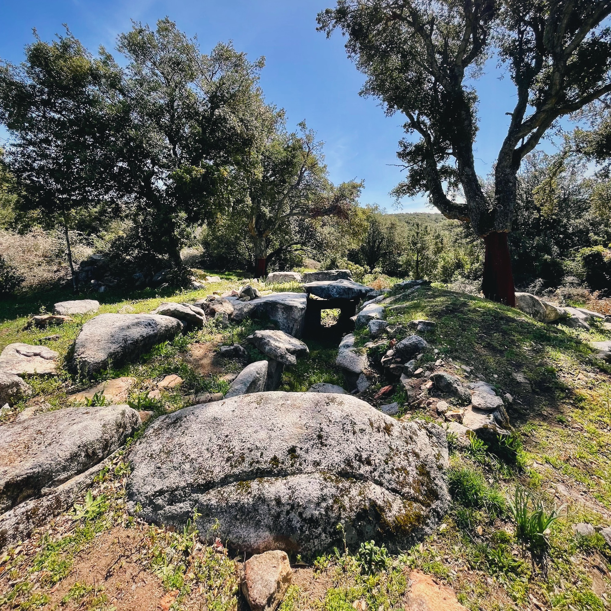 Monumenti Aperti il 14 e 15 maggio a Dorgali e Ovodda